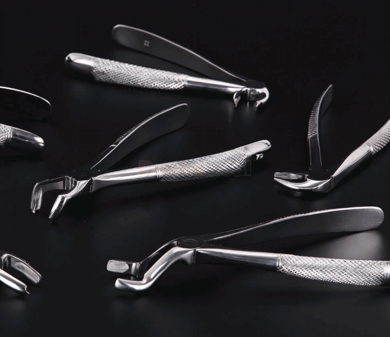 10Pcs/set Tooth Extracting Forceps Dental Pliers for Dentist Surgical Extraction Instrument