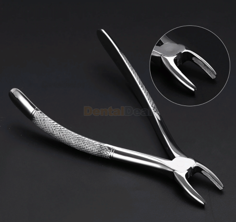 10Pcs/set Tooth Extracting Forceps Dental Pliers for Dentist Surgical Extraction Instrument