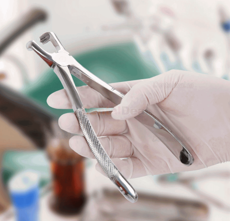 10Pcs/set Tooth Extracting Forceps Dental Pliers for Dentist Surgical Extraction Instrument
