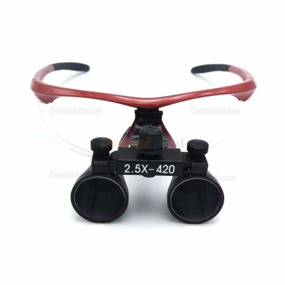 DY-101 Dental Surgical Medical Binocular Loupes 2.5X420mm