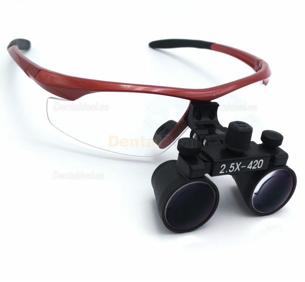DY-101 Dental Surgical Medical Binocular Loupes 2.5X420mm