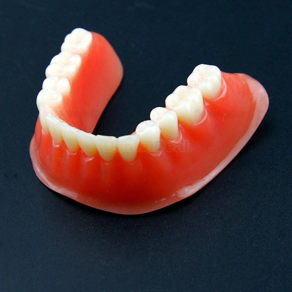 Dental Teeth Overdenture Implant Model Lower Jaw 4 Implant Golden 6009