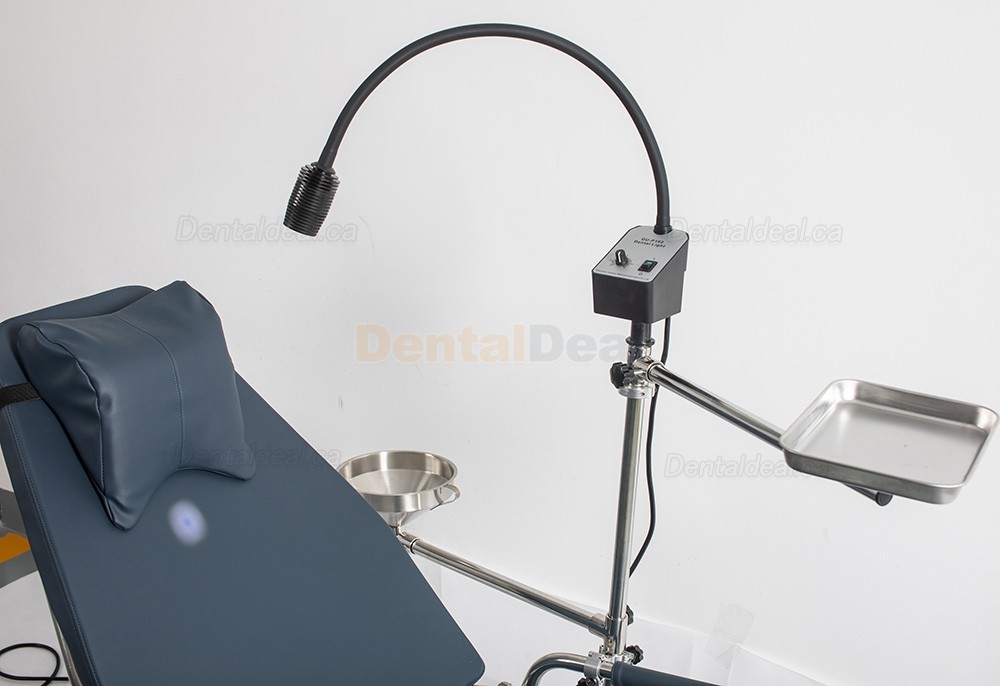 Greeloy GU-P101 Portable Dental Folding Chair Stainless Steel with Portable Operating Light
