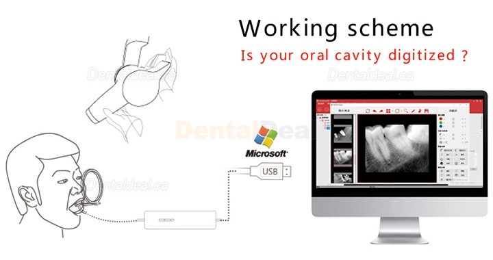 Handy HDR-600A Digital Intraoral Sensor Dental X-ray RVG Sensor