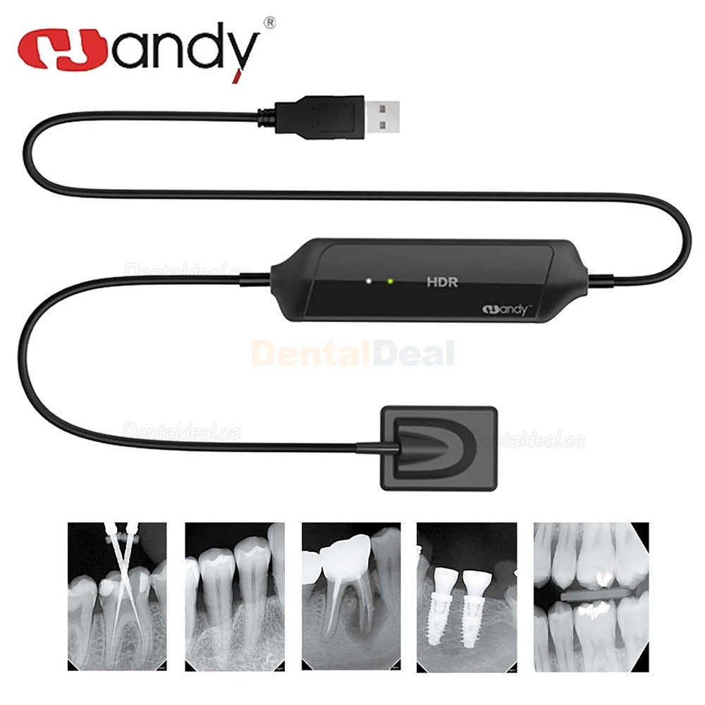 Handy HDR-600A Digital Intraoral Sensor Dental X-ray RVG Sensor