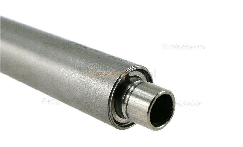 Spare Head for Dental Preven Air Prophy Polisher