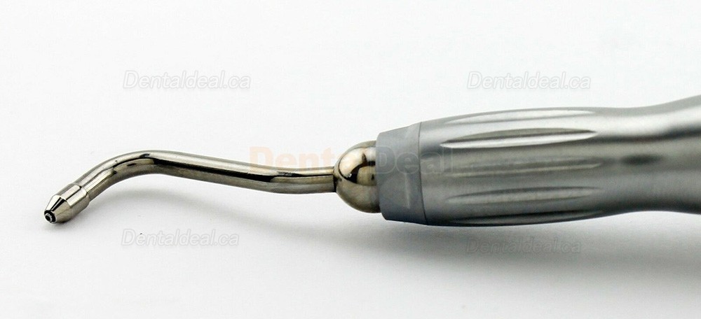 Dental Polisher Hygiene Air Jet Prophy Mate with NSK Quick Coupling 4 Hole