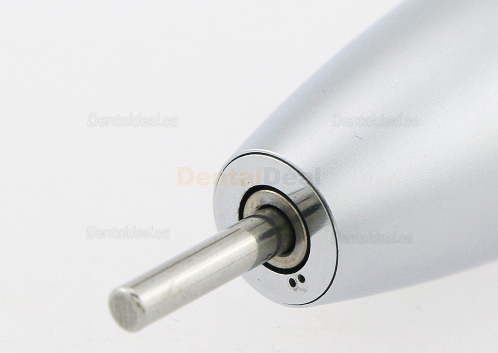 Dental Inner Water Straight Handpiece Fit NSK KAVO W&H E type