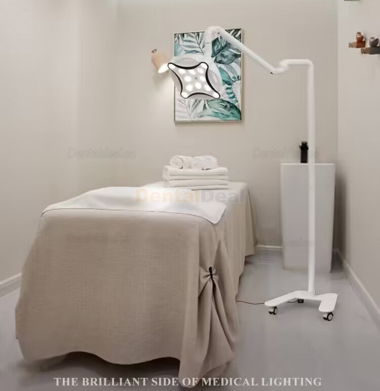 Micare JD1700L Mobile LED Surgical Lamp Shadowless Light Operation Lamp For Dental Medical
