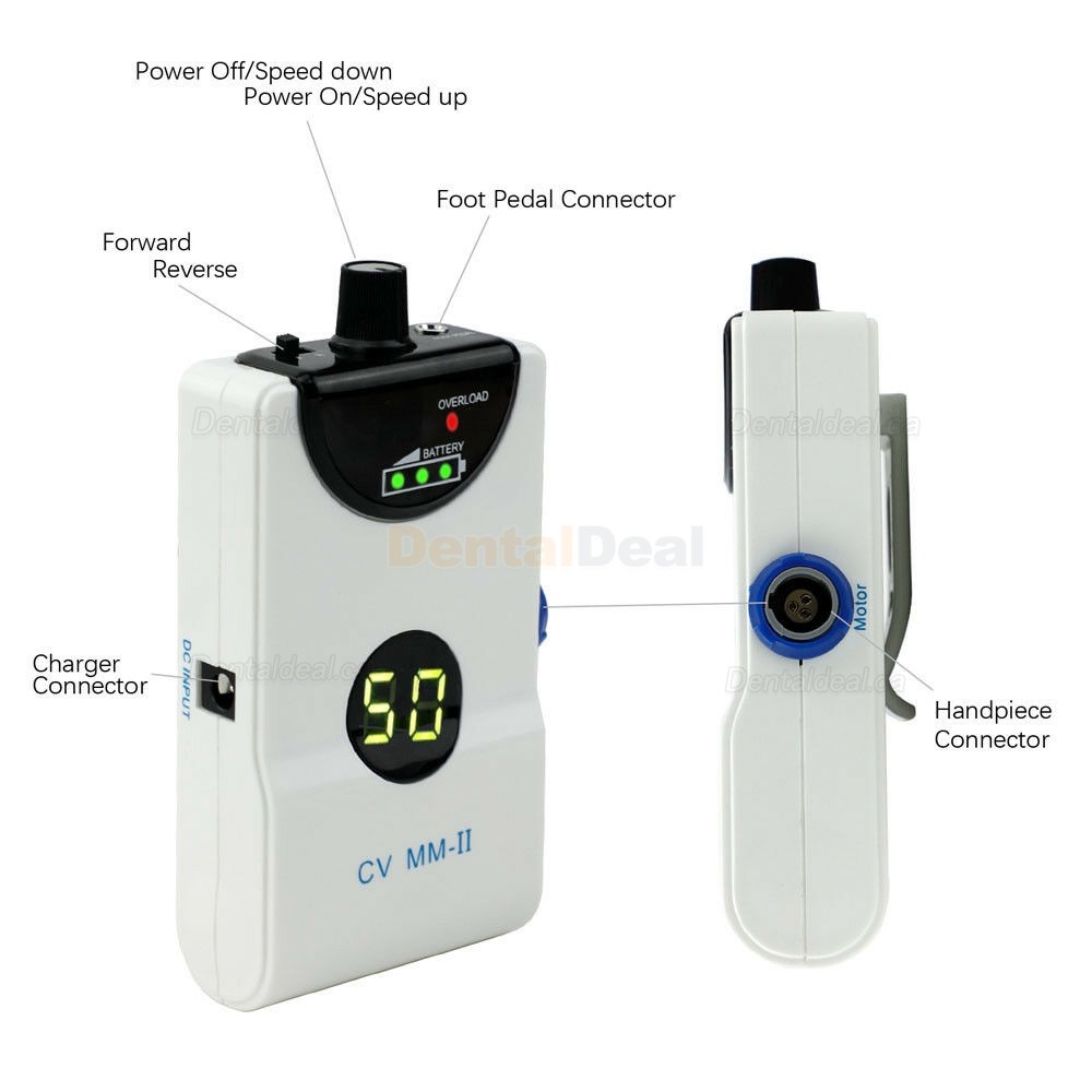 Dental Electric Brushless Micro Motor Lab Polisher 35,000rpm Handpiece E-type