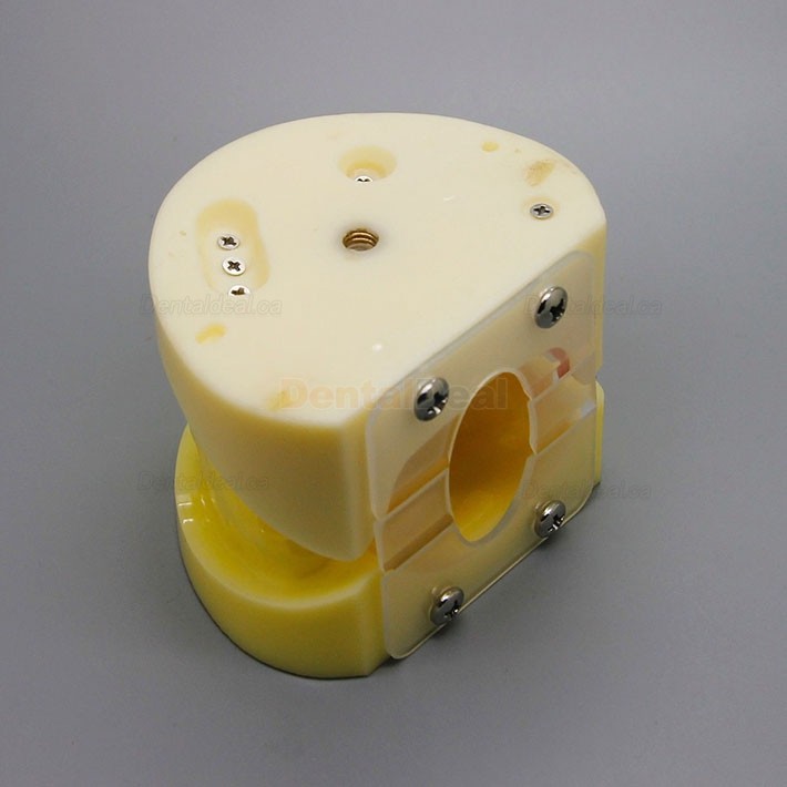 Dental Implant Practice Model with Replaceable Implant Socket 2002