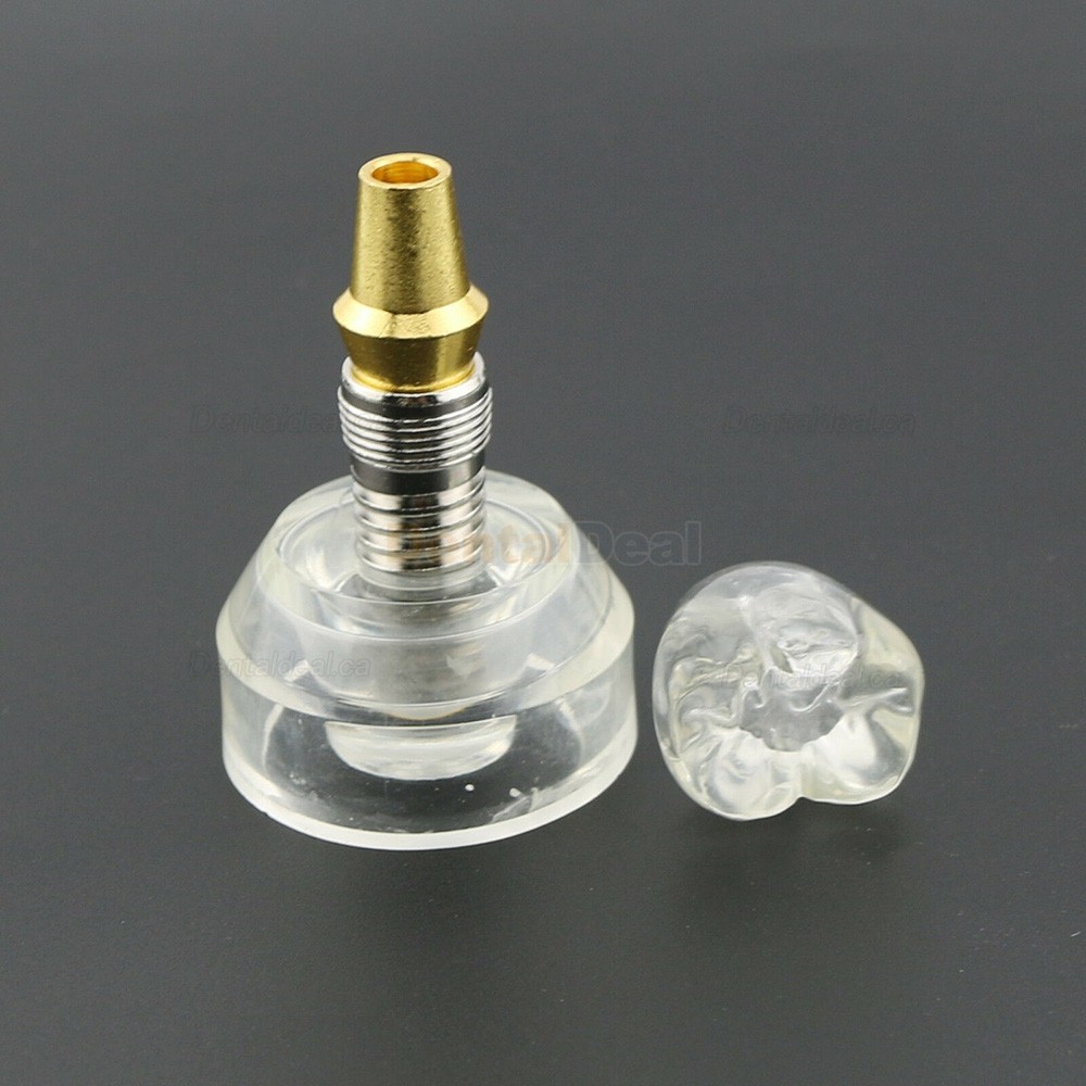 Dental Teeth Model Implant Model Demonstration Study Teach Model Demo 2020