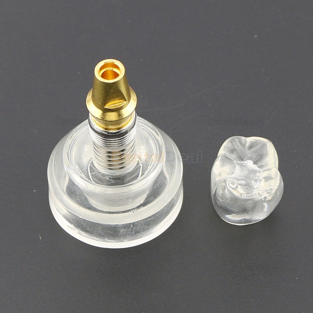 Dental Teeth Model Implant Model Demonstration Study Teach Model Demo 2020