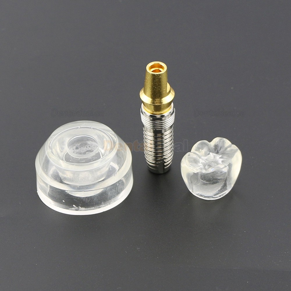 Dental Teeth Model Implant Model Demonstration Study Teach Model Demo 2020