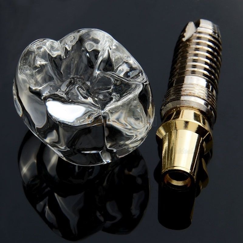Dental Implant Crystal Demonstration Model for Students Patients M2019-I