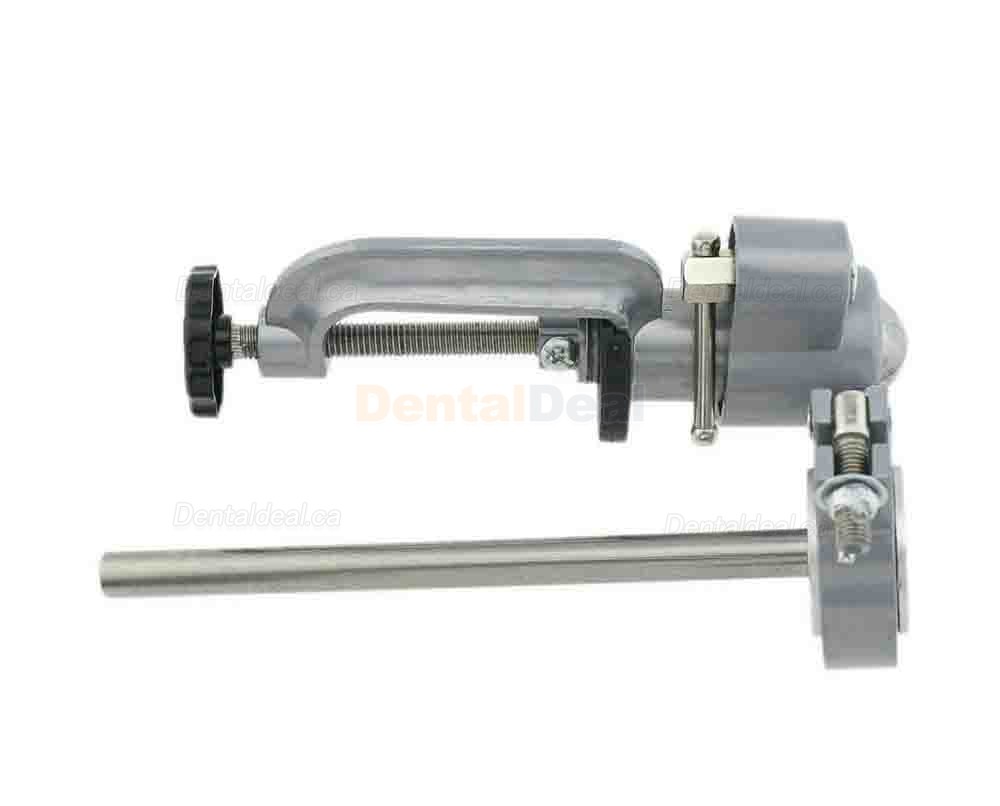 Dental Typodont Model Pole Mount Fit Columbia Nissin Frasaco Typodont 360 Motion