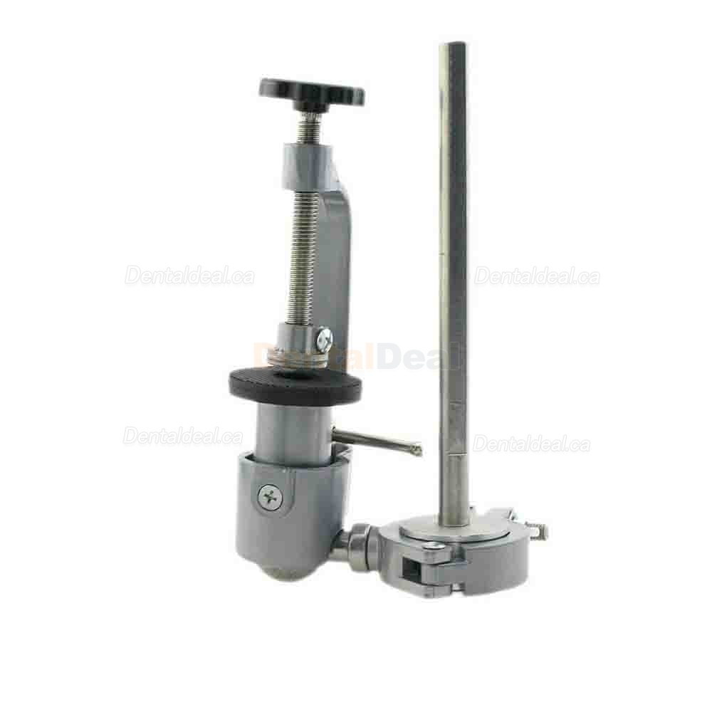 Dental Typodont Model Pole Mount Fit Columbia Nissin Frasaco Typodont 360 Motion