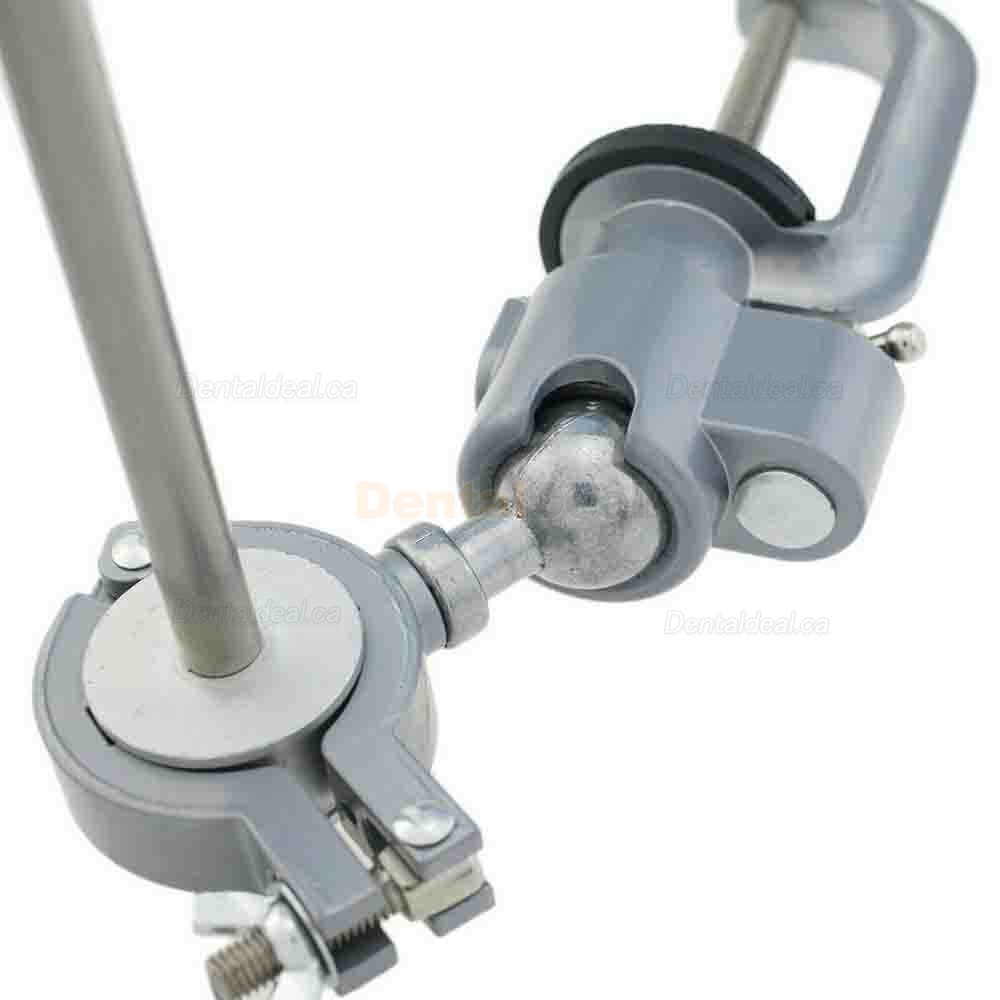 Dental Typodont Model Pole Mount Fit Columbia Nissin Frasaco Typodont 360 Motion