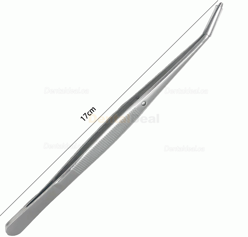 6Pcs/set Disposable Dental Mouth Mirror and Probe Stainless Steel Set