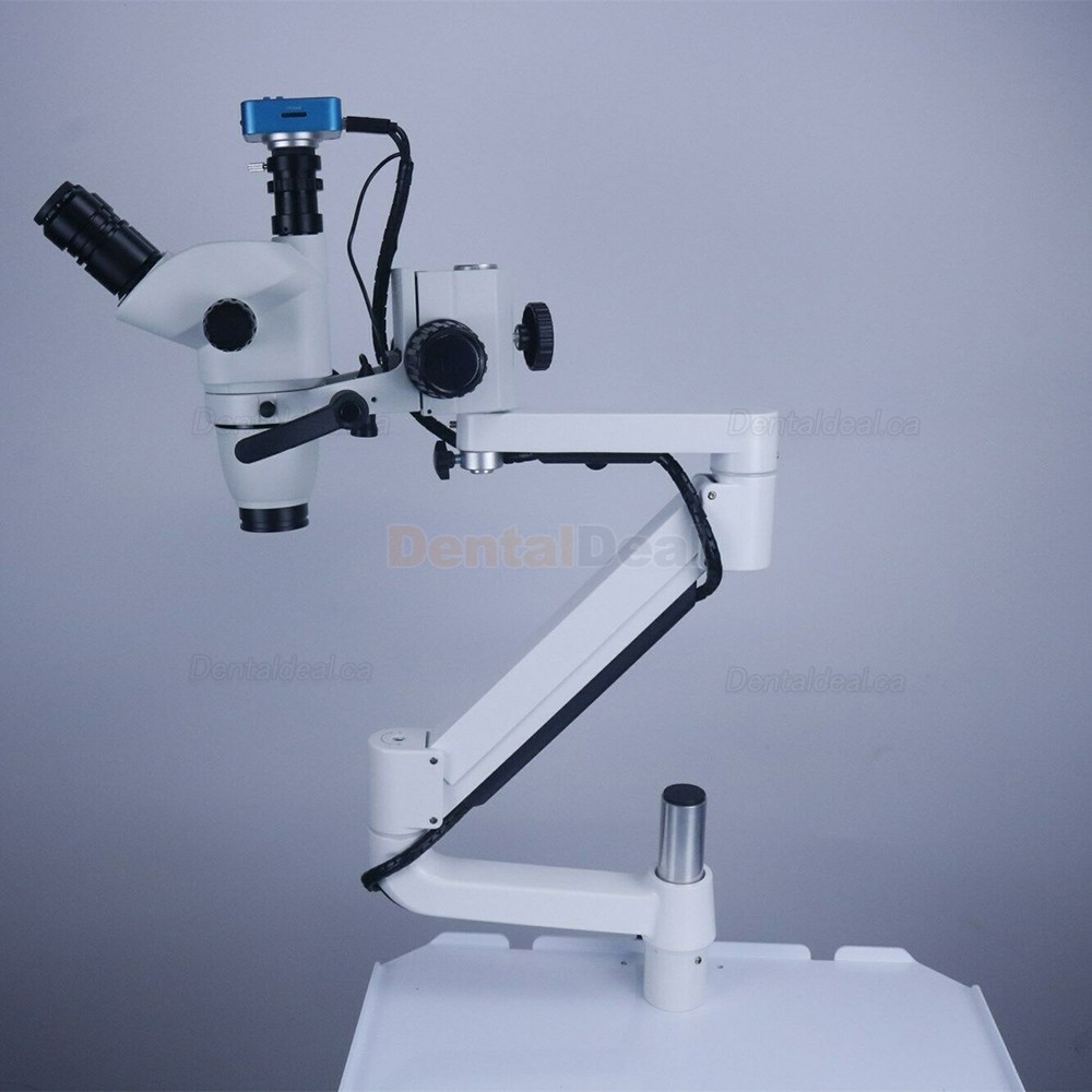 Dental Operating Endodontic Microscope with Camera for Dental Chair Unit