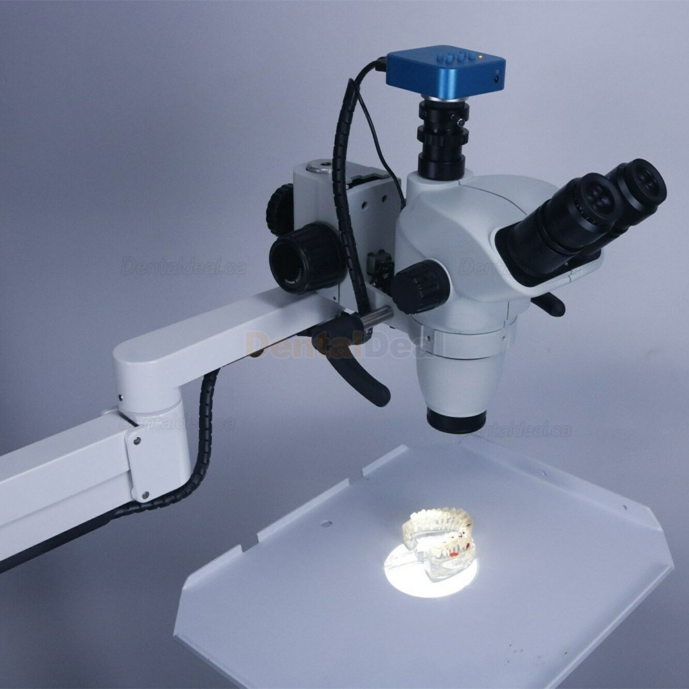 Dental Operating Endodontic Microscope with Camera for Dental Chair Unit