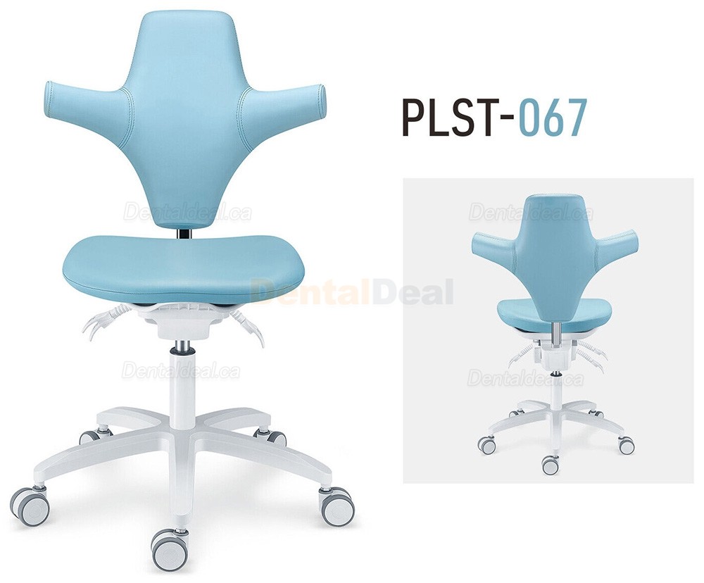 TYTC PLST-064-067 Dental Hygienist Chair Ergonomic Dentist Operator Stool with Backrest