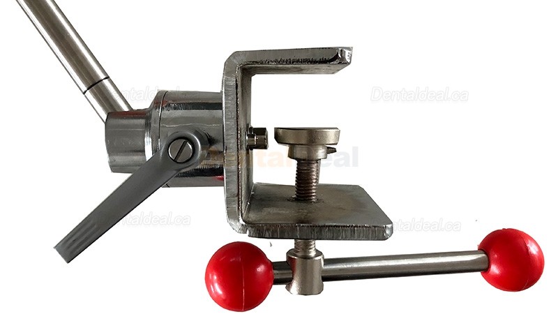 Dental Manikin Phantom Head Typodont Model Compatible with Nissin Kilgore / Frasaco