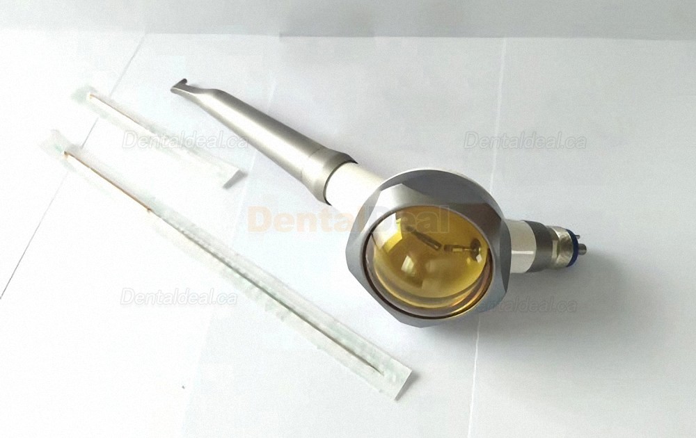 Preven Air Prophy Jet Air Polisher Handpiece 2/4 Hole