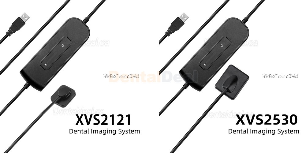Dental X-Ray Sensor Intraoral RVG Sensor VXS2121/2530 Dental X-Ray Sensor Intraoral RVG Sensor VXS2121/2530