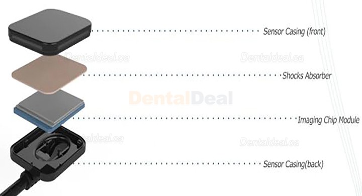 Dental X-Ray Sensor Intraoral RVG Sensor VXS2121/2530 Dental X-Ray Sensor Intraoral RVG Sensor VXS2121/2530