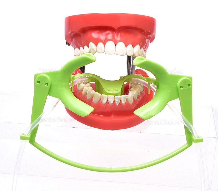 Dental Retractor with Saliva Suction Tube Intraoral Lip Mouth Opener