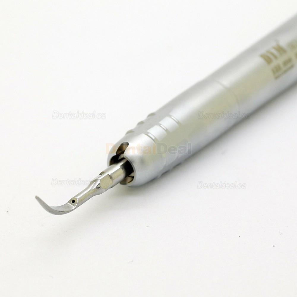 DYM Dental Hygienist Air Scaler Handpiece 2/4 Holes