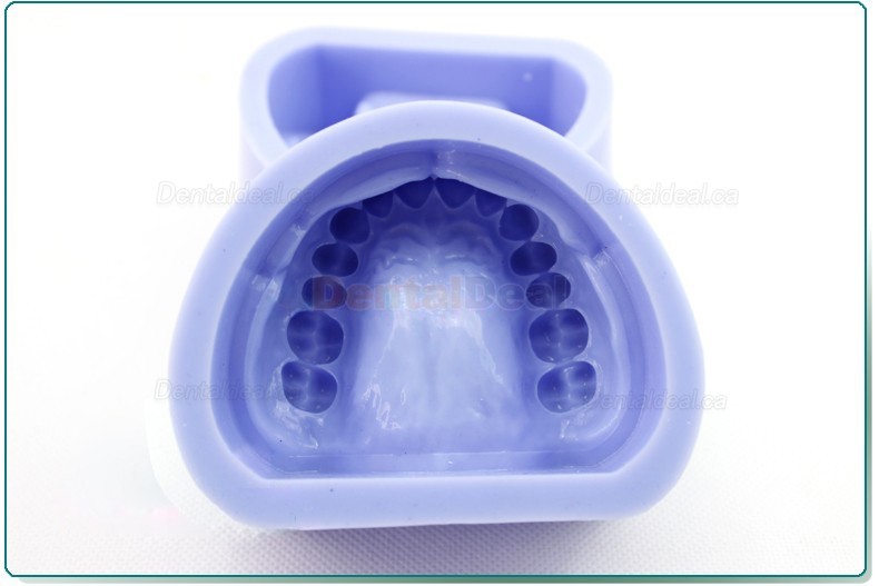 Silicone Model for Dental Cavity Preparation Block