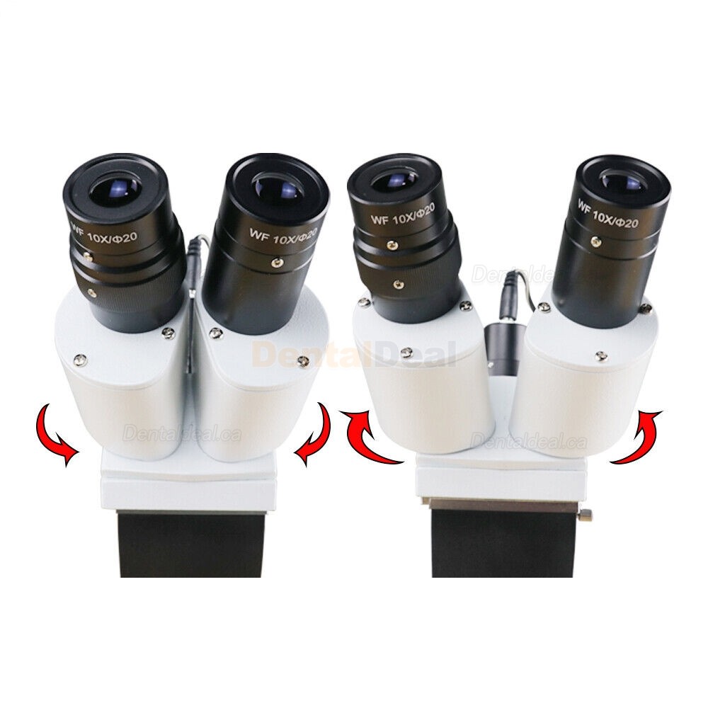 Dental Operating Microscope Endodontic Surgical Microscope 10X/15X/20X with LED Light (For Dental Chair)
