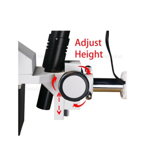 Dental Operating Microscope Endodontic Surgical Microscope 10X/15X/20X with LED Light (For Dental Chair)