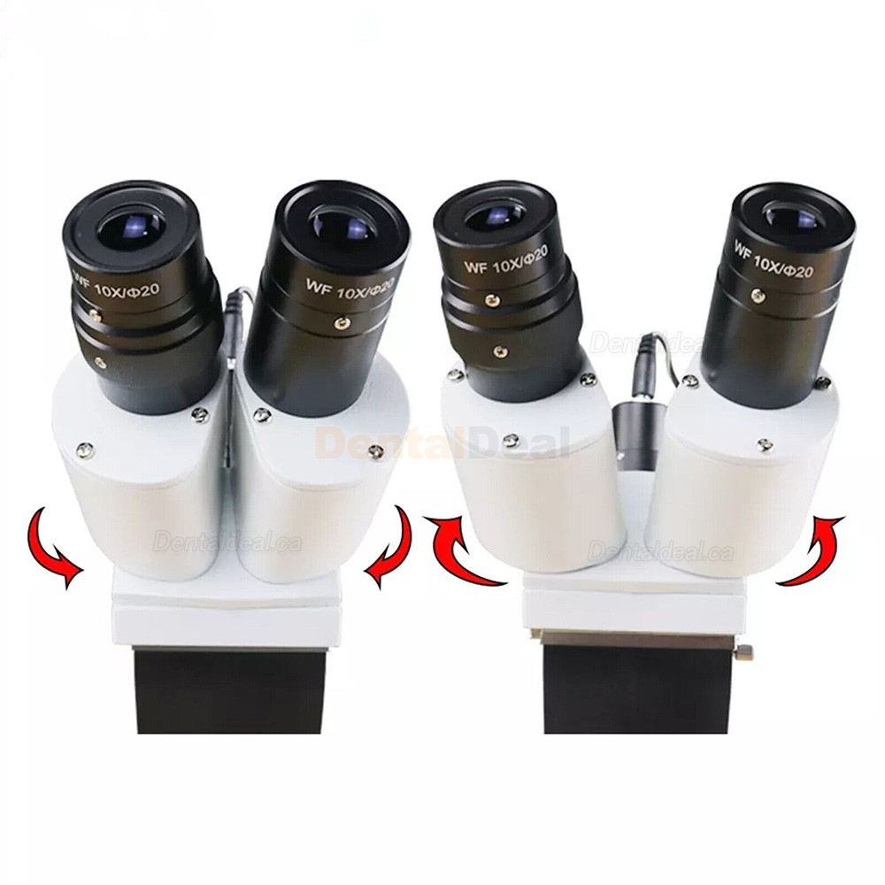 Dental Surgical Microscope Endodontic Operating Microscope 10X/15X/20X (For Table Desk)