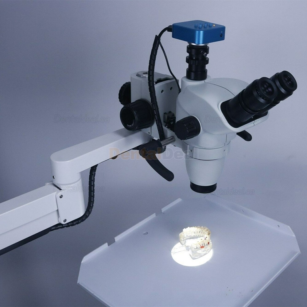 Trolley Type 5W Dental Endodontic Operating Microscope with Camera