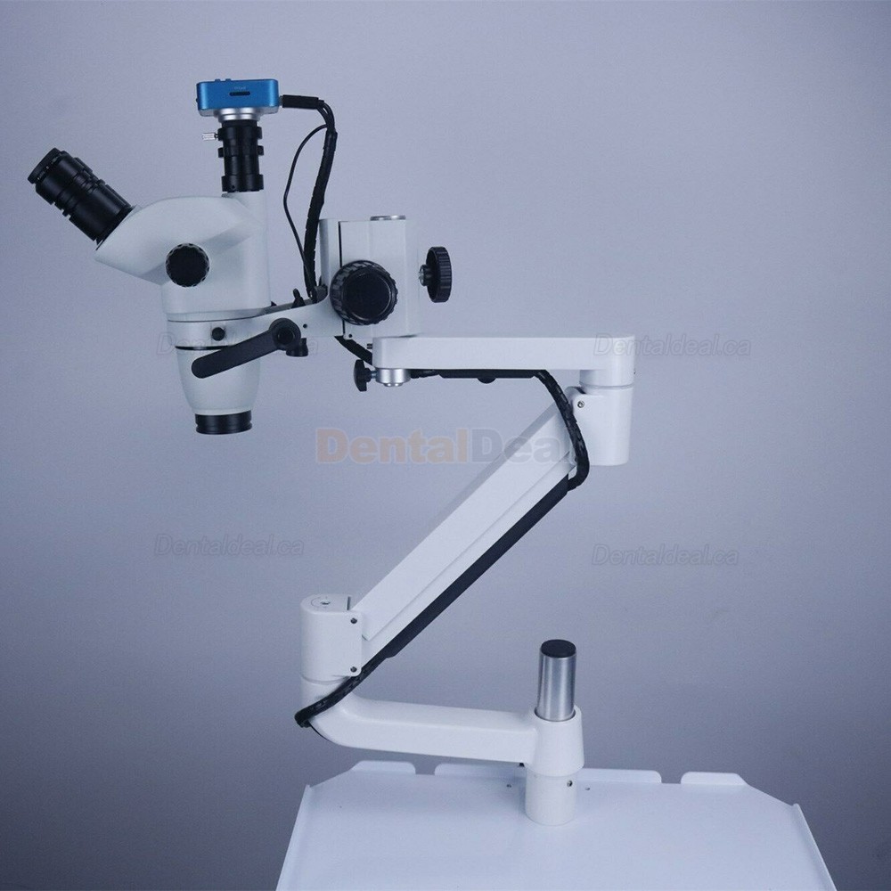 Trolley Type 5W Dental Endodontic Operating Microscope with Camera