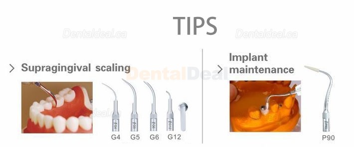 Woodpecker&reg; UDS-P Dental Ultrasonic Scaler with LED Scaler Handpiece