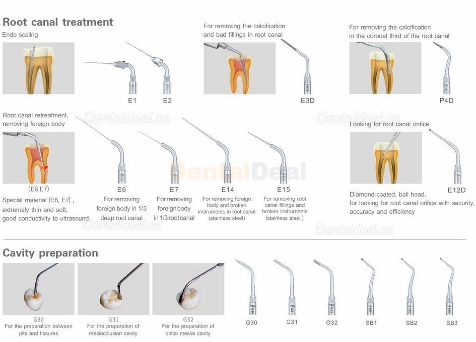 Woodpecker&reg; UDS-P Dental Ultrasonic Scaler with LED Scaler Handpiece