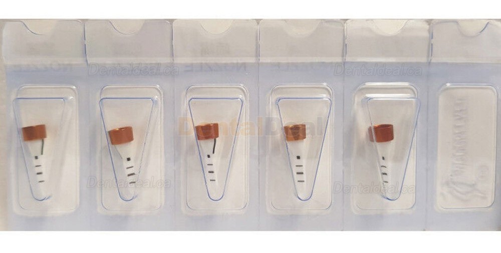 Woodpecker AP-H Plus Dental Air Flow Polisher Supragingival / Subgingival 4Hole
