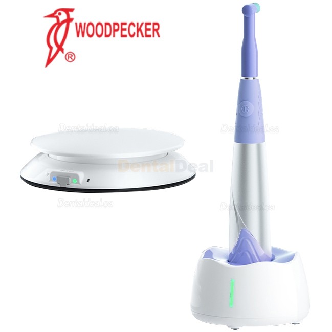 Woodpecker i-Polish Dental Hygiene Prophy Handpiece