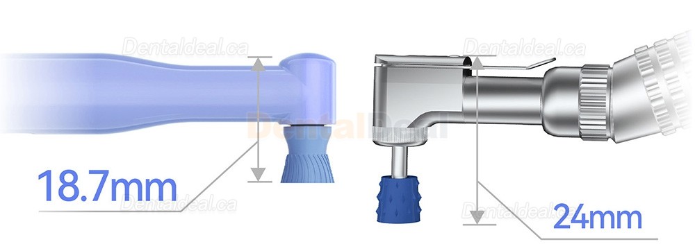 Woodpecker i-Polish Dental Hygiene Prophy Handpiece