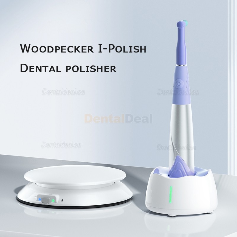 Woodpecker i-Polish Dental Hygiene Prophy Handpiece