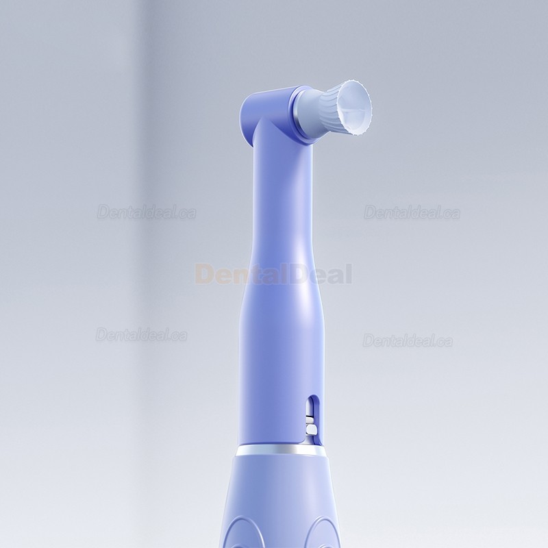 Woodpecker i-Polish Dental Hygiene Prophy Handpiece