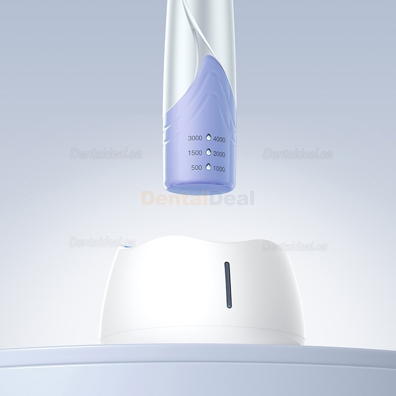 Woodpecker i-Polish Dental Hygiene Prophy Handpiece