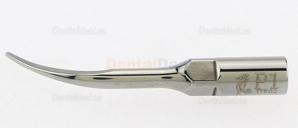 5Pcs Woodpecker P1 Dental Ultrasonic Perio Scaler Tips Fit EMS