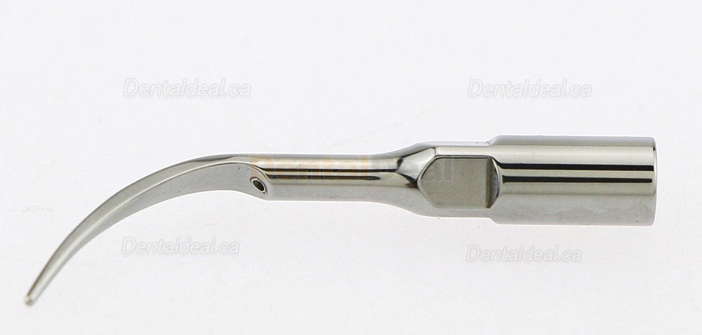 5Pcs Woodpecker P1 Dental Ultrasonic Perio Scaler Tips Fit EMS