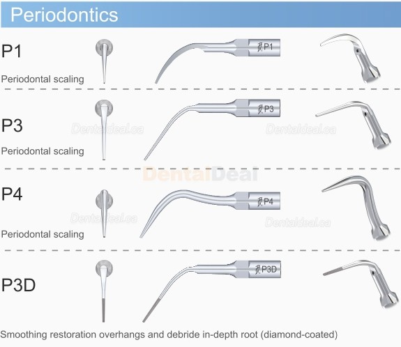 5Pcs Woodpecker P1 Dental Ultrasonic Perio Scaler Tips Fit EMS