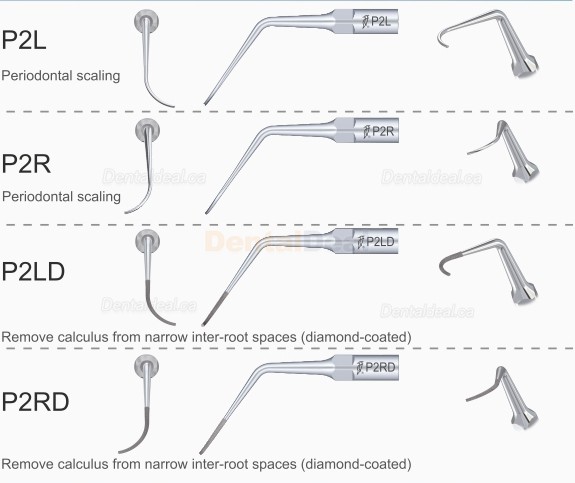 5Pcs Woodpecker P1 Dental Ultrasonic Perio Scaler Tips Fit EMS